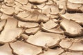 Closeup of dry cracked earth background, clay desert Royalty Free Stock Photo