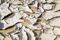 Closeup of dry cracked earth background, clay desert texture