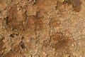 Closeup of dry cracked soil Royalty Free Stock Photo