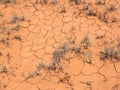 Closeup of dry soil in the United States