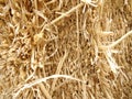 Closeup of Dry straw Royalty Free Stock Photo