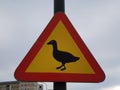 Closeup of a ducks crossing sign Royalty Free Stock Photo