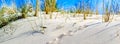 Closeup of a dune lit by sunlight with undefined animal footprints in the sand. Copy space. Facebook banner. Summer concept.