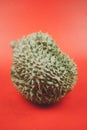 Closeup Durian on a red background