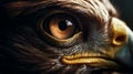 Closeup Eagle eye, Details, macro photography, Galaxy