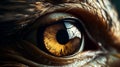 Closeup Eagle eye, Details, macro photography, Galaxy