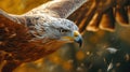 Closeup of eagle in flight. AI generated Royalty Free Stock Photo