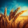 Closeup ears of golden wheat in wheat meadow with shiny light and blue sky background, illustration created by generative AI