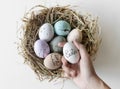 Closeup of easter eggs in nest Royalty Free Stock Photo