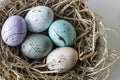 Closeup of easter eggs in the nest Royalty Free Stock Photo