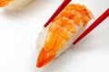 Closeup of ebi king prawn nigiri prepared by a Japanese chef in a restaurant Royalty Free Stock Photo