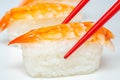 Closeup of ebi king prawn nigiri prepared by a Japanese chef in a restaurant Royalty Free Stock Photo