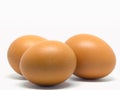 Closeup Egg chicken. Royalty Free Stock Photo