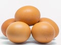 Closeup Egg chicken. Royalty Free Stock Photo