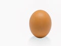 Closeup Egg chicken. Royalty Free Stock Photo