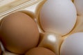 Closeup of eggs in carton Royalty Free Stock Photo