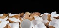 Closeup of eggshells on a dark background.