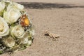 Egyptian desert agama lizard in desert with wedding flower bouquet Royalty Free Stock Photo