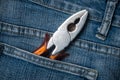 electrician pliers in blue jeans pocket Royalty Free Stock Photo