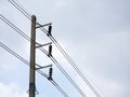 Closeup , Electricity pylons.