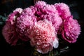Closeup elegant bouquet made from many large pink and purple peonies