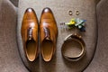 Elegant stylish brown male accessories