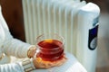 Closeup on elegant woman near radiator and holding tea cup Royalty Free Stock Photo