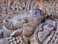 Closeup, elephant detail, Darasuram temple, Tamil Nadu, southern India Royalty Free Stock Photo