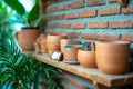 Closeup empty clay pot on the wooden shelf with bricklayer wall background