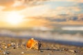 empty marine shell lie on the sandy sea beach at the sunset