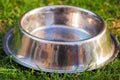 Closeup empty metal bowl for dog food sitting on green grass, animal nutrition concept Royalty Free Stock Photo