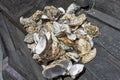 Closeup of empty oyster shells in wooden box