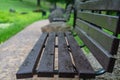 Closeup of Empty Park Benches in Sunny Summer Day With Golden Leaves in Trees, Latvia, Europe, Concept of Sadness and Loneliness Royalty Free Stock Photo