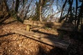 Empty Rustic Wooden Bench in the Winter Forest - Rocca di Garda Italy Royalty Free Stock Photo