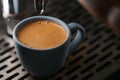 Closeup espresso last drop with single spout portafilter in blue cup