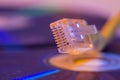 Closeup of Ethernet cable with it`s reflection on blank disc Royalty Free Stock Photo