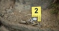 Closeup, evidence marker and forensic for investigation at crime scene with keys on ground or accident location in Royalty Free Stock Photo