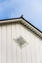 Closeup of exterior of white traditional barn with diamond shaped window and pigeon on rooftop peak Royalty Free Stock Photo