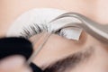 Closeup Eyelash extension procedure. Master tweezers fake black long lashes beautiful female eyes