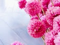 Closeup fabric pink flowers with natural sun light and wooden floor background