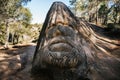 Closeup of a face carved in stone at Ruta de las Caras in Buendia, Cuenca, Spain