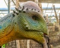 Closeup of the face of a pachycephalosaurus replica statue, extinct prehistoric dinosaur specie