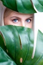 Closeup facial portrait personable woman holding green monstera.