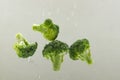 Closeup of falling pieces of broccoli and water drops.Fresh and juicy vegetable