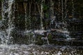 Closeup of falling and splashing streams of water, Ivande waterfall, Latvia Royalty Free Stock Photo