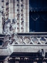 Closeup of famous Cathedrale Notre-Dame de Paris,  Paris France Royalty Free Stock Photo