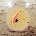 Closeup of fancy drink in martini glass with peppercorns