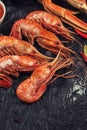 Closeup of far eastern botan shrimp Royalty Free Stock Photo