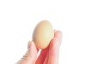 Closeup on farmed brown chicken egg held up by fingers towards w