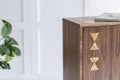 Closeup of fashionable dark wooden commode in bright interior with green plant